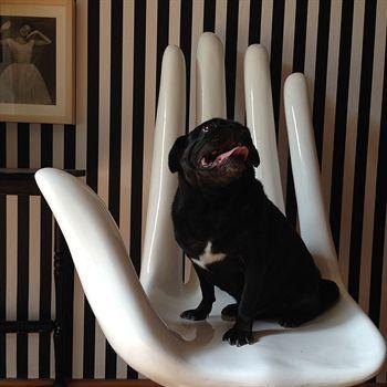 Hotel Pugseal Boutique